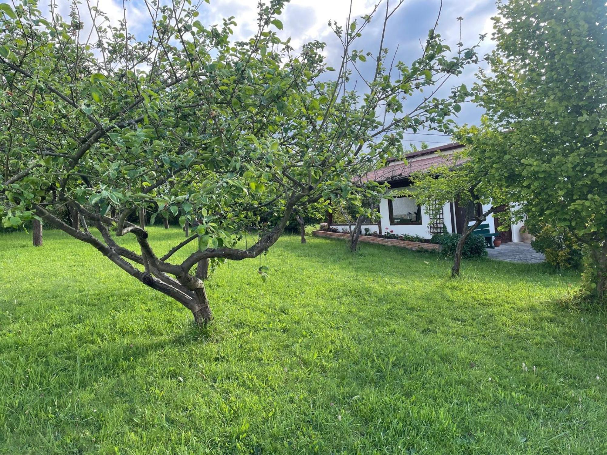 Villa Casa Benjamin Oviedo Esterno foto
